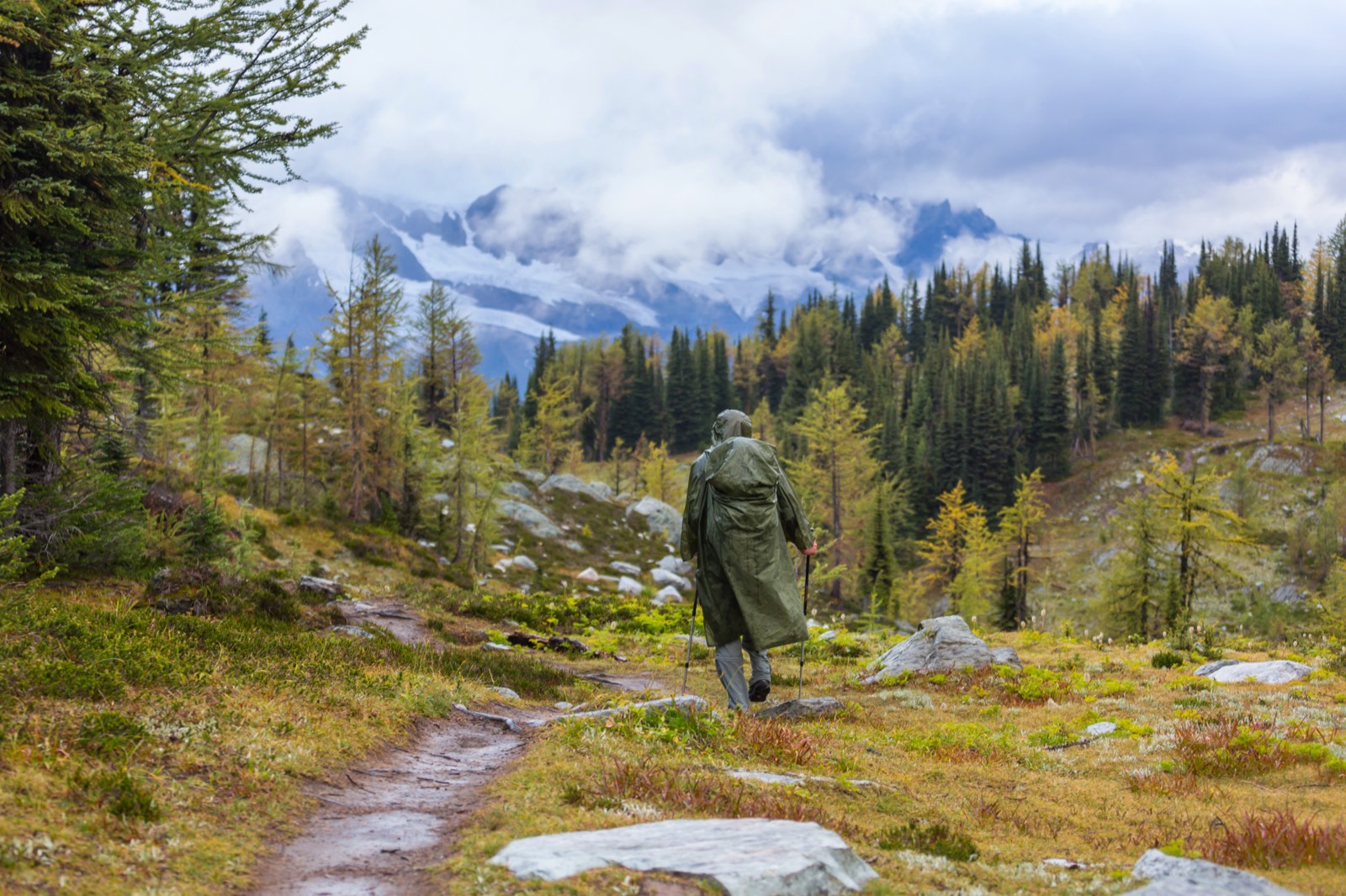 A lone figure walking a dirt trail through subalpine forest with cloud-covered peaks behind.